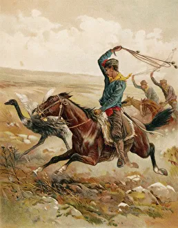 Catch Gallery: Ostrich Hunt with Bolas