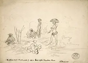 John Thomas Baines Prints: The Ostrich nest, East of Bembesi River