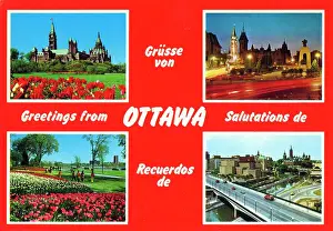 Tulip Prints: Ottawa, Ontario Canada - Multi-view Greetings postcard