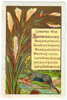 Otter with a fish on a Christmas card