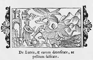 Otters Prints: Otter, Fish & Man 1555