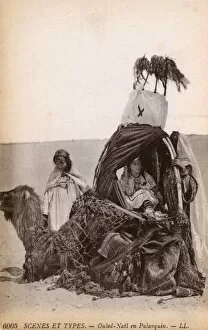 Ouled Nails Woman in Covered Camel Palanquin