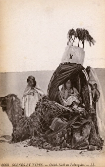 Ouled Nails Woman in Covered Camel Palanquin Ouled Nails Woman in Covered Camel Palanquin