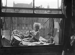Outdoor Baby Cage