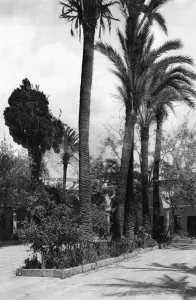 Acre Gallery: Outer court of mosque, Acre, Galilee, Northern Israel