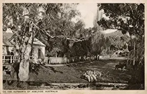 Suburbs Prints: On the outskirts of Adelaide, Australia