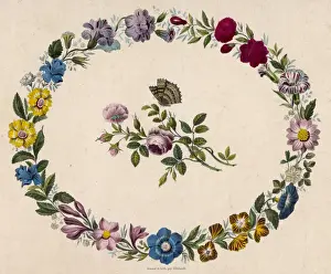 Oval Floral Border