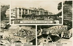 Hertfordshire Gallery: The Ovaltine Factory and Farms, Kings Langley