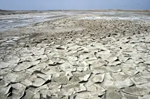Habitats Prints: Over-dried soil with cristallized salt on its surface