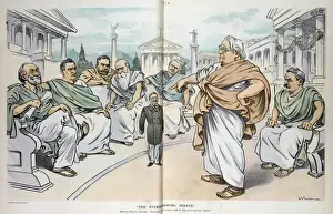 The overshadowing Senate