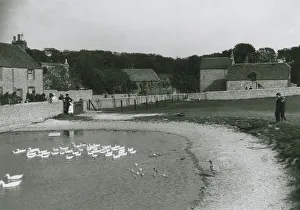 Pond Collection: Ovingdean, Sussex