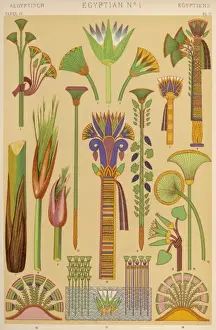Owen Jones Egyptian 4
