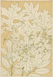 Owen Jones Flowers 94