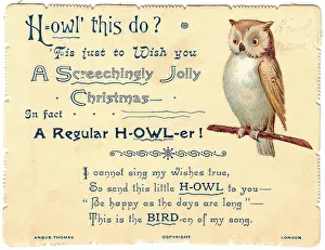 Owl with comic verse on a Christmas card