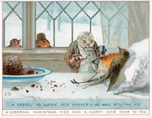 Images Dated 6th July 2018: Owl doctor and robin patient on a Christmas card