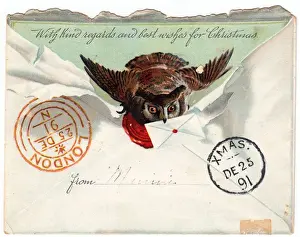 Owl in an envelope on a Christmas card