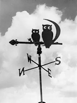 Images Dated 11th March 2011: Owl Weathervane