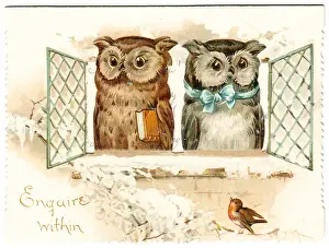 Two owls on a Christmas card