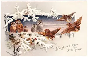 Eight owls on a New Year card