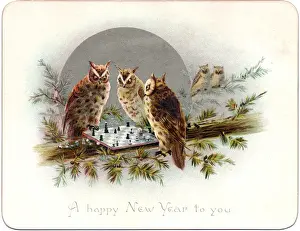 Three owls on a New Year card