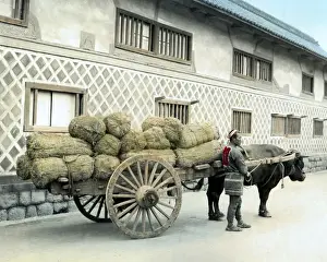 Ox cart with rice bales, Japan