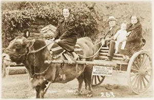 Grandfather Prints: Ox Cart rides in Arkansas