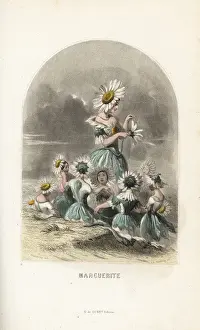 Petals Prints: Oxeye daisy flower fairies wearing flower hats