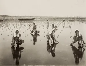 The oyster beds, Arcachon, France, image c. 1890