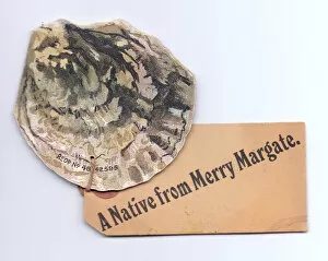 Victorian and Edwardian Christmas Cards Gallery: Oyster from Margate on a shell-shaped greetings card