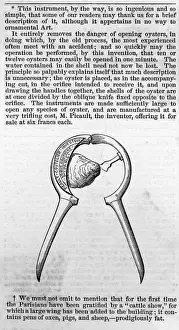 OYSTER OPENER / ART JL1849