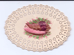Images Dated 3rd December 2015: Oyster on a plate on a cutout greetings card