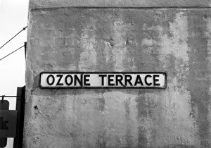 Laugh Prints: Ozone Terrace