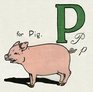 Kiddiewiddies Prints: P for Pig