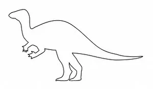 Hadrosauriformes Collection: Pachycephalosaurus