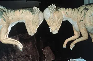 Pachycephalosaurus