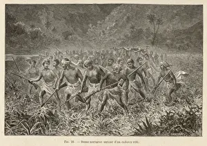 Pacific Cannibals