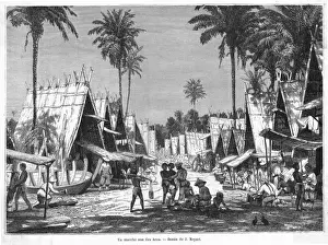 Pacific New Guinea