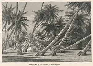 C1880 Prints: PACIFIC / TUAMOTU C1880
