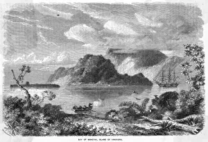 Perouse Prints: Pacific Vanikoro
