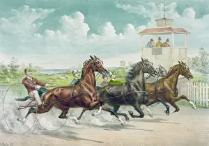 Pacing Prints: Pacing for a grand purse
