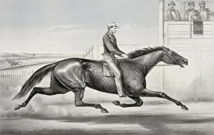 Minute Prints: Pacing horse Billy Boyce of St. Louis: as he appeared at Buf
