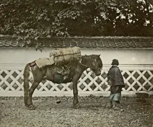 Pack horse, Japan