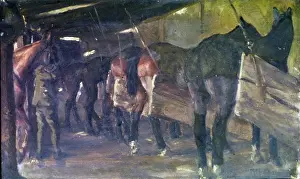 Pack ponies of the Sherwood Foresters, WW1