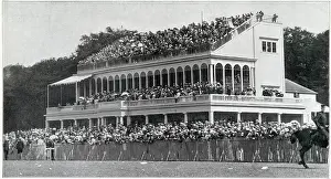 Chichester Prints: Packed grandstand at Goodwood races in Chichester, West Sussex. Date: 1901