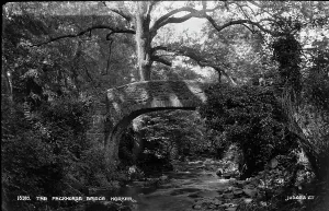 Packhorse Prints: The Packhorse Bridge, Horker