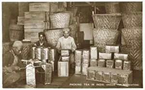 Packer Gallery: Packing Tea in India - Indian Tea Association