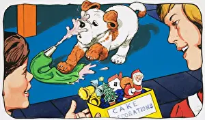 Paddy Paws