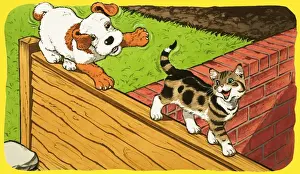 Paddy Paws