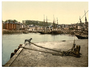 Quay Gallery: Padstow Quay, Cornwall, England
