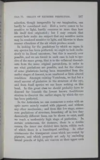 Darwin200 Prints: Page 187 from The Origin of Species